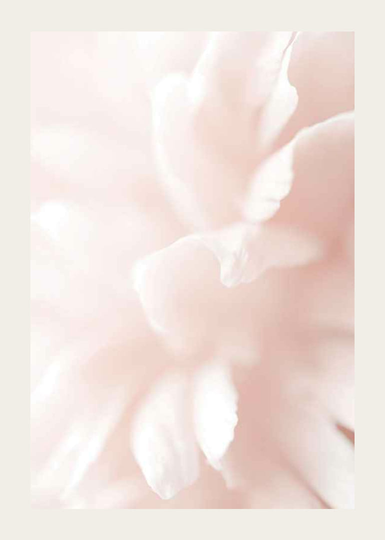 Detailný záber na svetloružové lupene kvetov s jemným rozmazaním-12