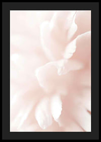 Close-up of light pink flower petals with soft blur-4