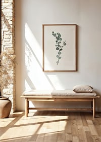 Photographic sprig of eucalyptus with round blue-green leaves-8
