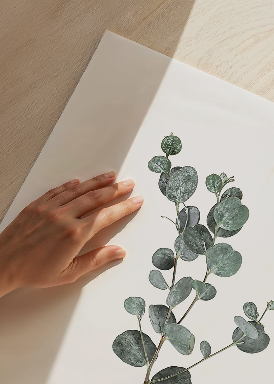Photographic sprig of eucalyptus with round blue-green leaves-12
