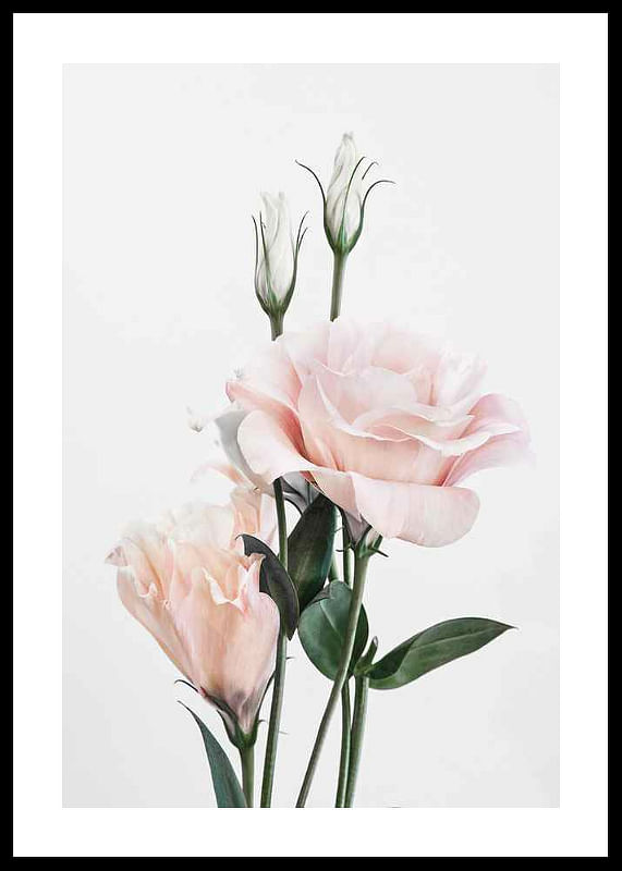 Rose Bouquet No1-12