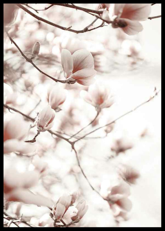 Pink Botanical Shades-12