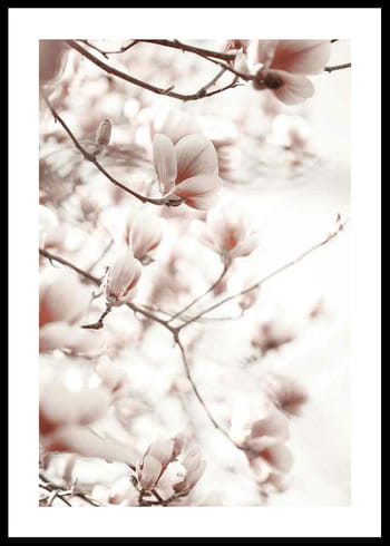 Poster Pink Botanical Shades