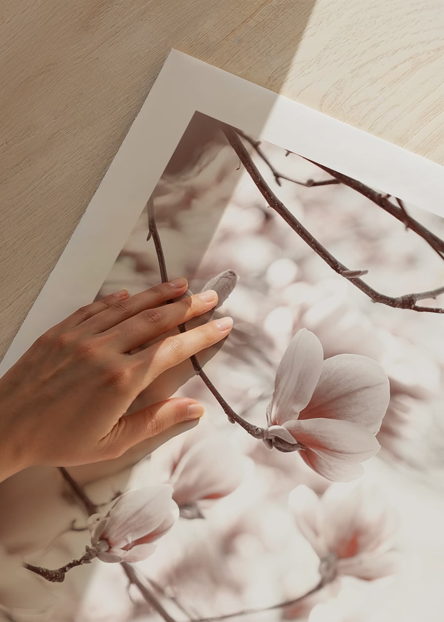 Fotografi af magnoliablomster i bløde lyserøde nuancer-12