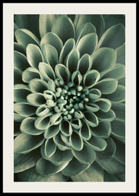 Close-up van een bloem met zachtgroene bloemblaadjes, fotografisch-2