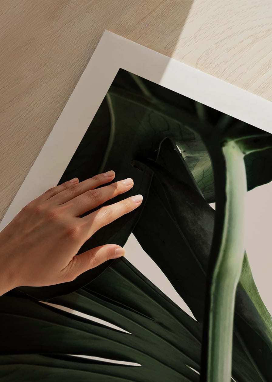 Närbild av gröna monstera-blad mot ljus beige bakgrund-12