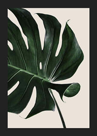 Photographic close-up of green monstera leaf against beige background-5