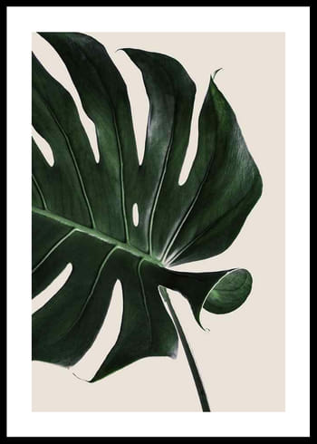 Plakat Monstera Two