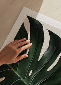 Photographic close-up of green monstera leaf against beige background-9