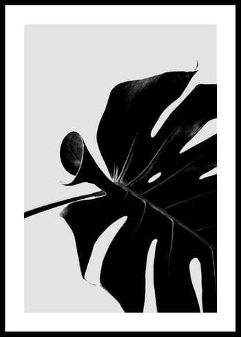 Poster Monstera Black
