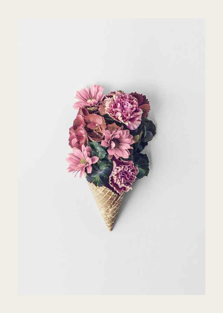 Photograph of pink flowers arranged in a waffle cone-12