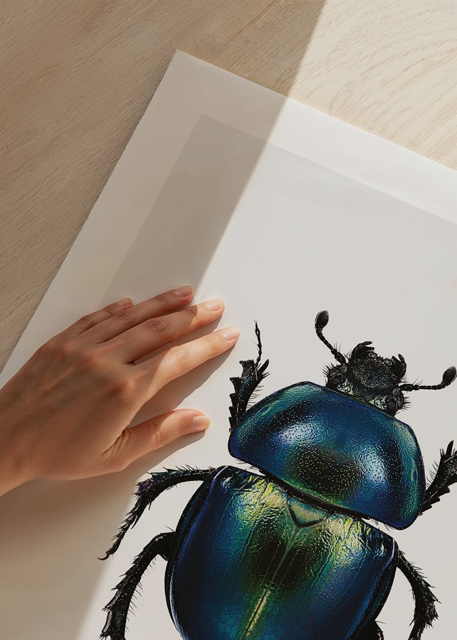Illustrated beetle in blue and green shades on white background-12