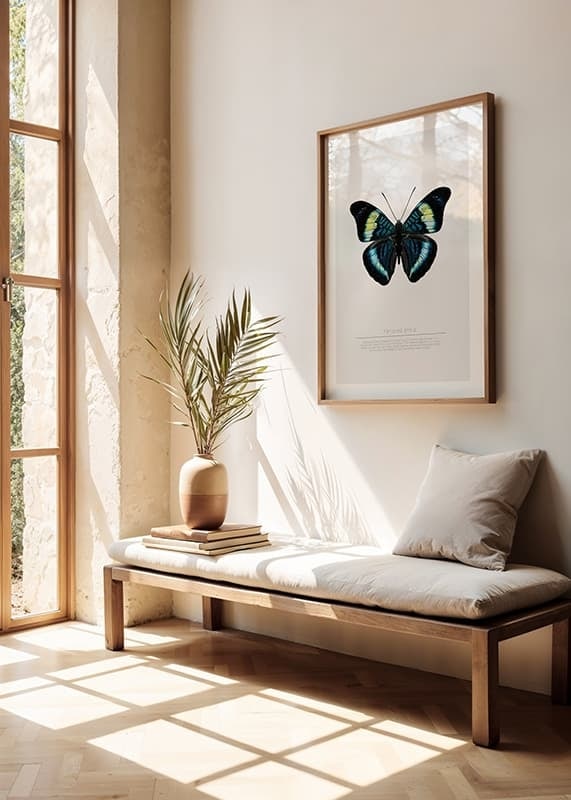 Juliste Butterfly Display crossfade