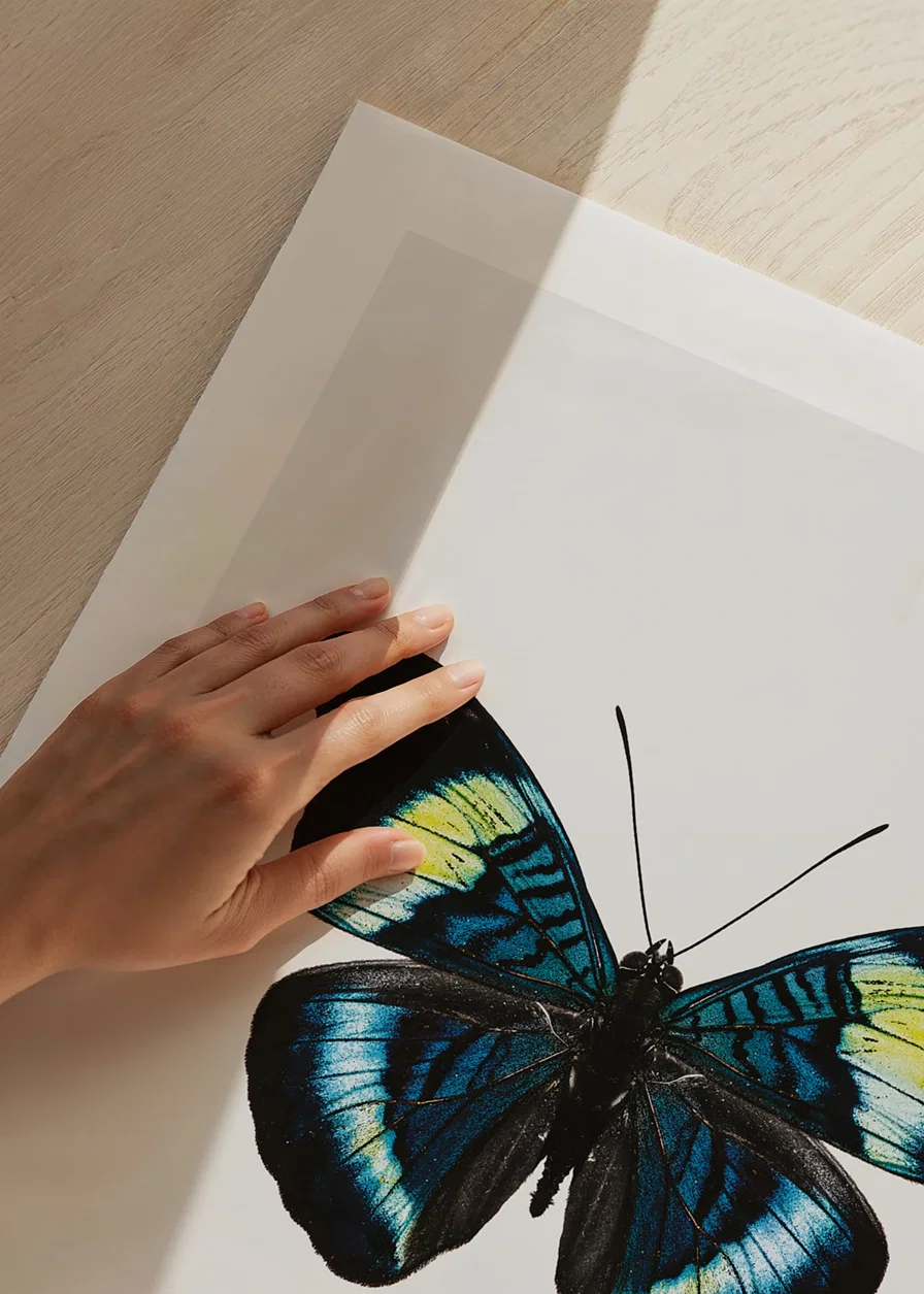 Illustrated butterfly with blue, turquoise and yellow wings against a white background-12