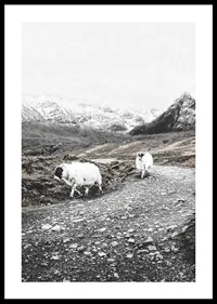 Two goats on rocky road in wintery mountain landscape-0
