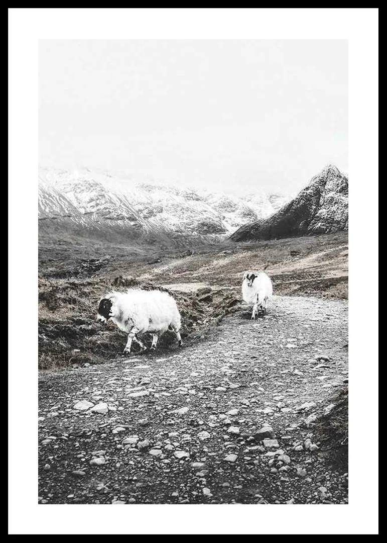 Two goats on rocky road in wintery mountain landscape-12