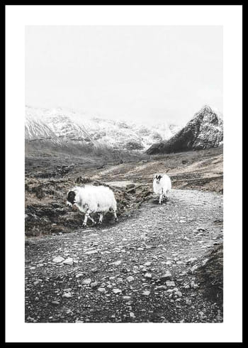 Affiche Winter Goats