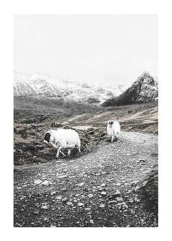 Plakat Winter Goats