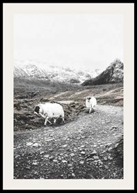 Two goats on rocky road in wintery mountain landscape-2