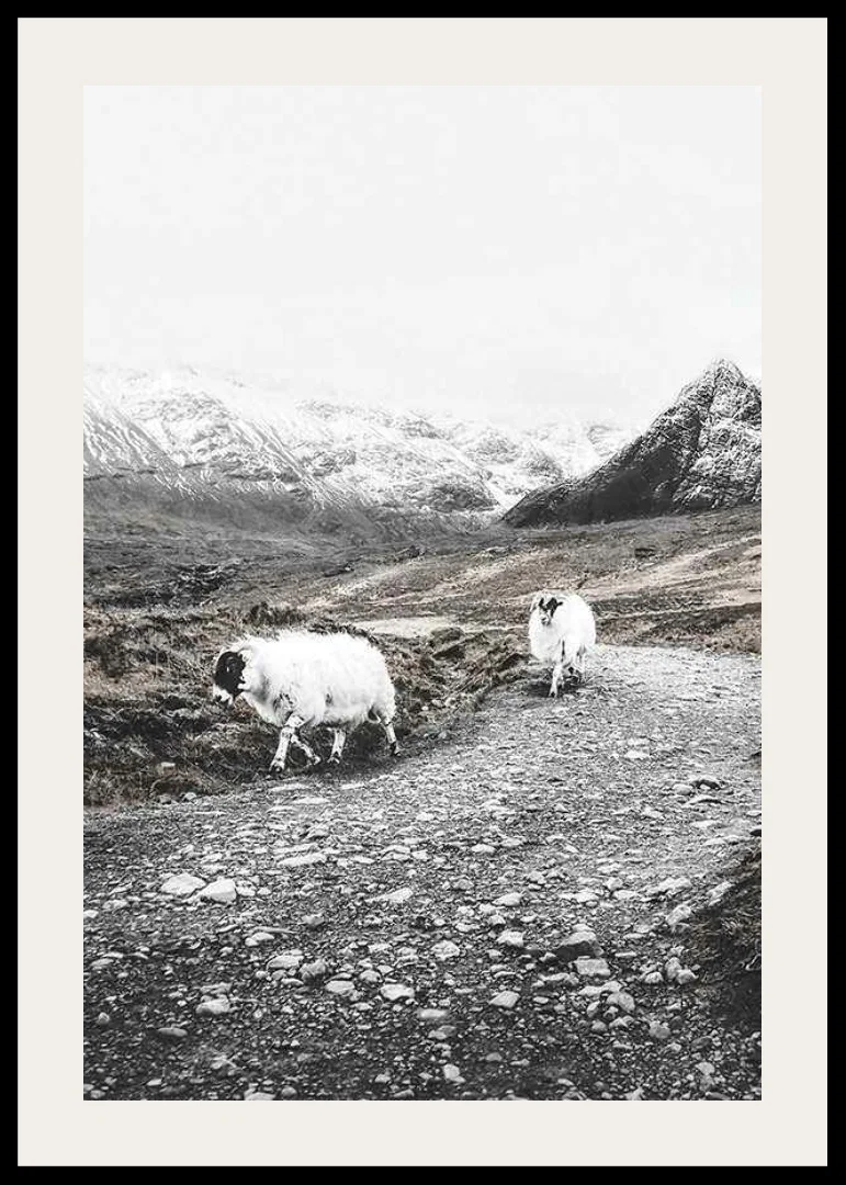 Two goats on rocky road in wintery mountain landscape-12