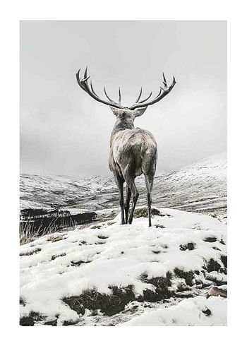 Poster Winter Roe Deer