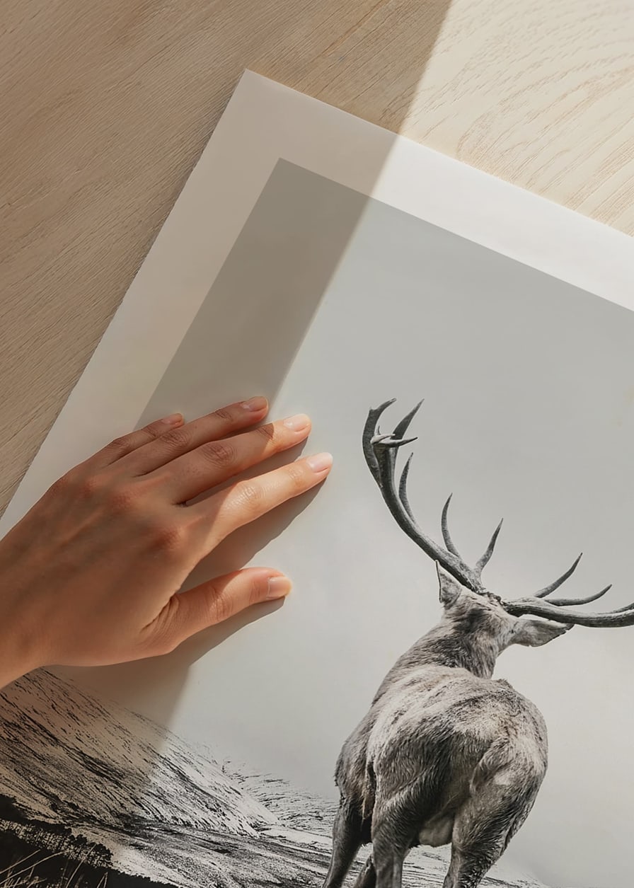 Photographic red deer with large antlers in snow-covered landscape-12
