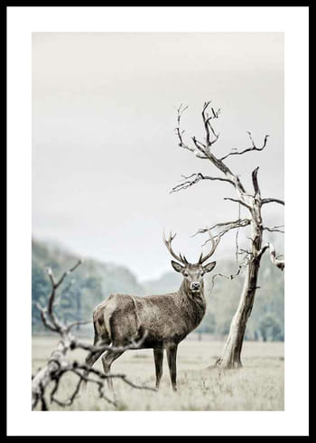 Juliste Winter Deer