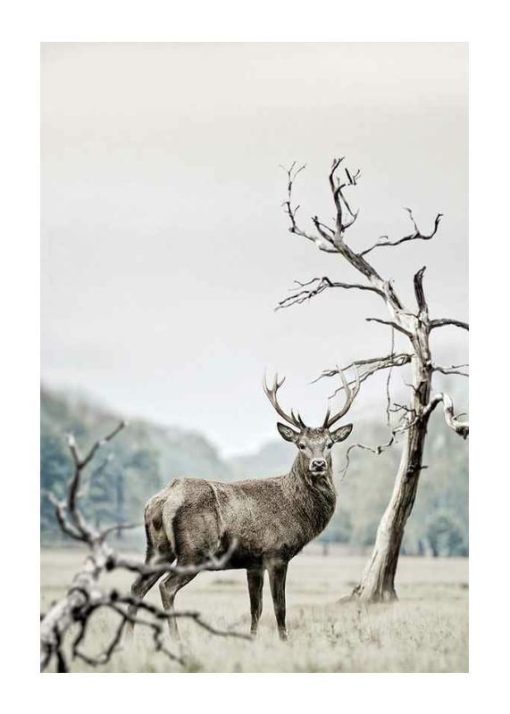 Winter Deer-12