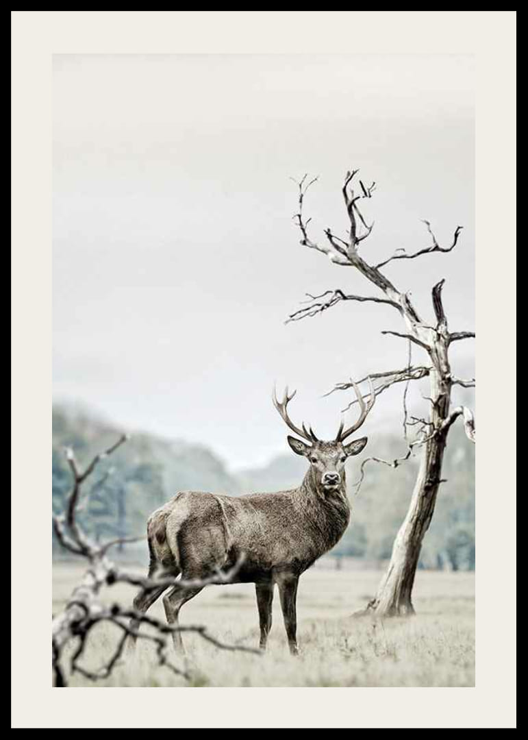Fotografisch motief van herten in winterlandschap met bomen-12
