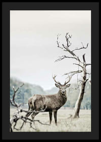 Fotografisch motief van herten in winterlandschap met bomen-4