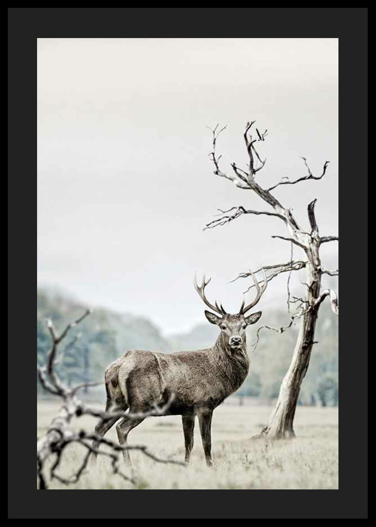 Fotografisch motief van herten in winterlandschap met bomen-12