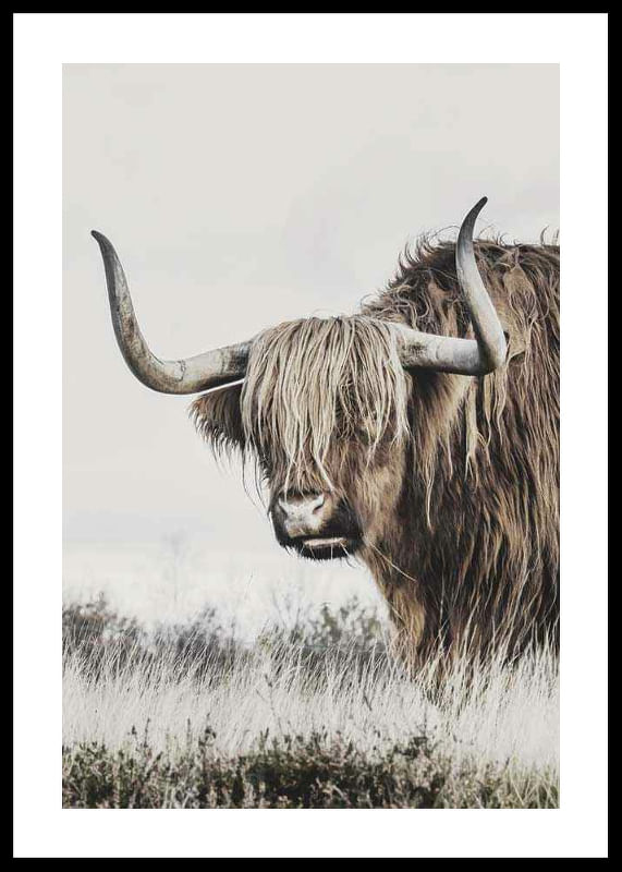 Winter Cow-12