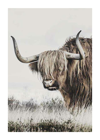 Juliste Winter Cow