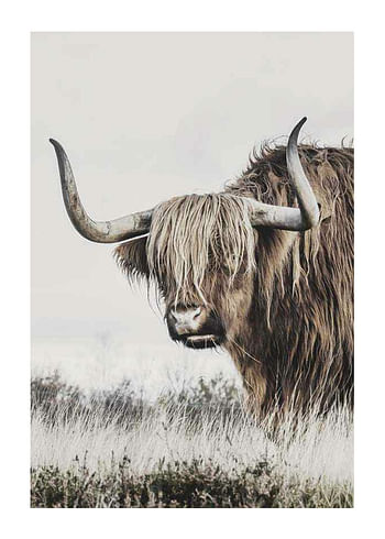 Poster Winter Cow