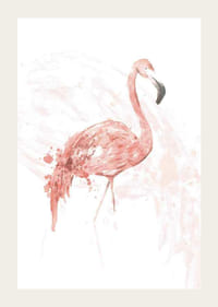 Akvareļu ilustrācija ar stāvošu flamingo rozā toņos-3