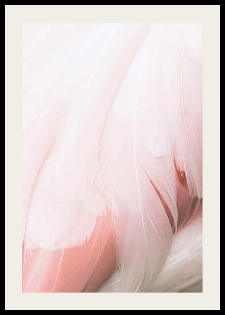 Világos rózsaszín flamingó tollak közeli képe lágy vonalakkal-12