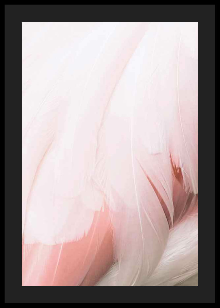 Világos rózsaszín flamingó tollak közeli képe lágy vonalakkal-12