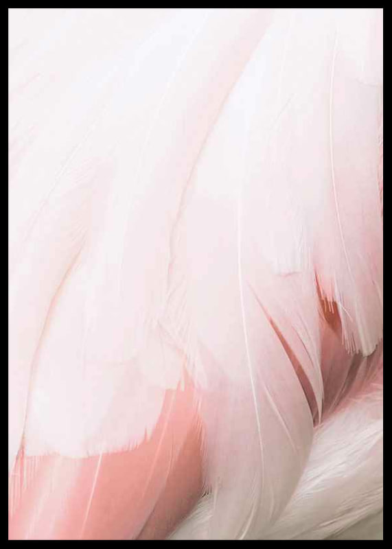 Close-up of light pink flamingo feathers with soft lines-12