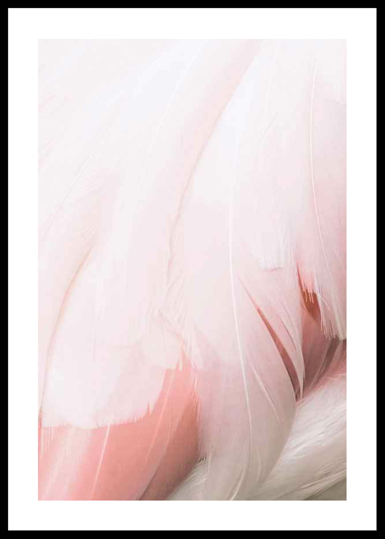 Close-up of light pink flamingo feathers with soft lines-12