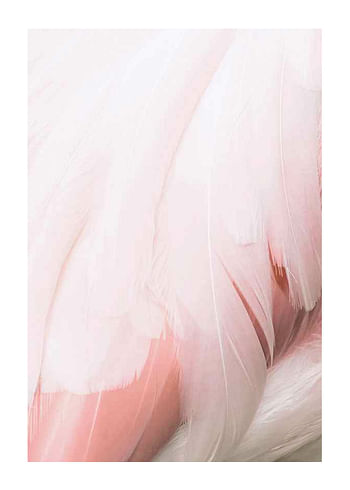 Poster Flamingo Feathers