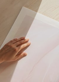 Close-up of light pink flamingo feathers with soft lines-9