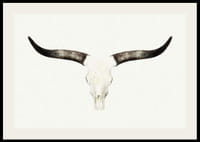 Crâne d'animal photoréaliste avec de longues cornes sur fond blanc-2