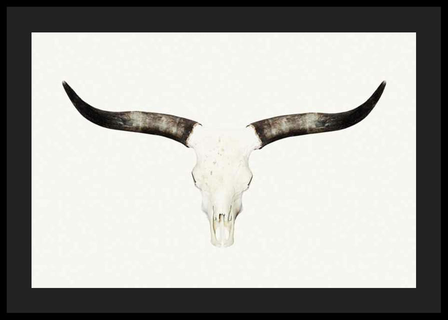 Crâne d'animal photoréaliste avec de longues cornes sur fond blanc-12