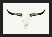 Crâne d'animal photoréaliste avec de longues cornes sur fond blanc-5