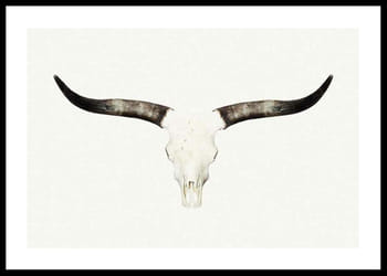 Poster Animal Skull