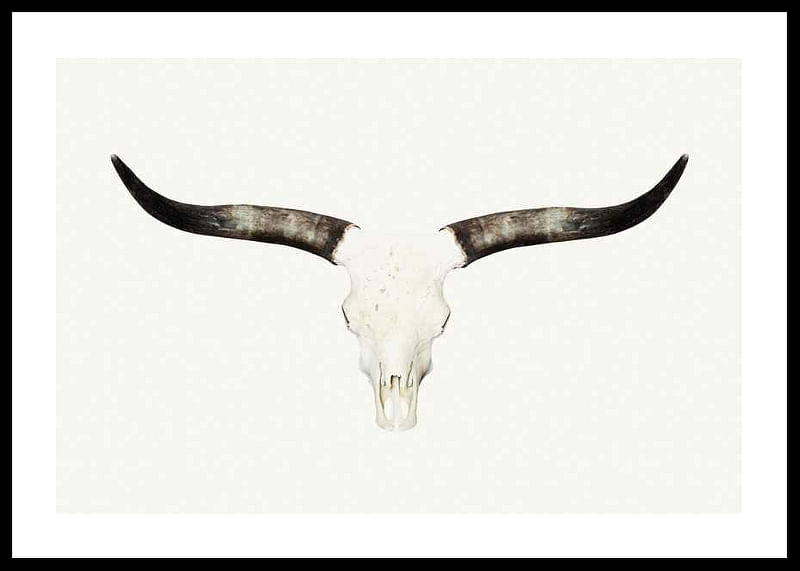 Animal Skull-12