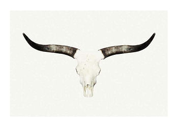 Póster Animal Skull