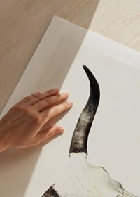 Fotorealistisk djurskalle med långa horn på vit bakgrund-9