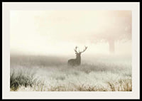Deer with big antlers standing in foggy meadow with bright tones-2