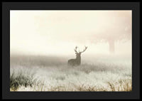 Deer with big antlers standing in foggy meadow with bright tones-4
